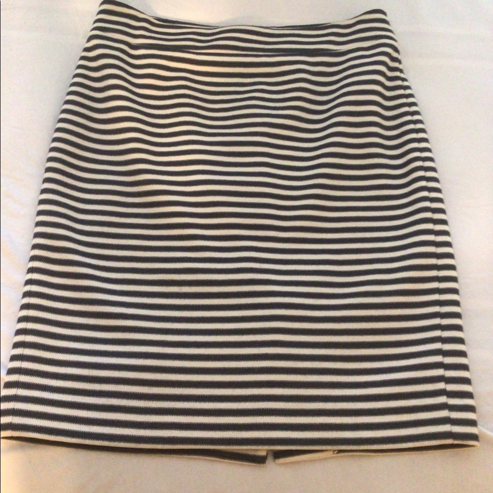 Striped Skirt with Lining